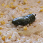 Creamy Mexican White Rice